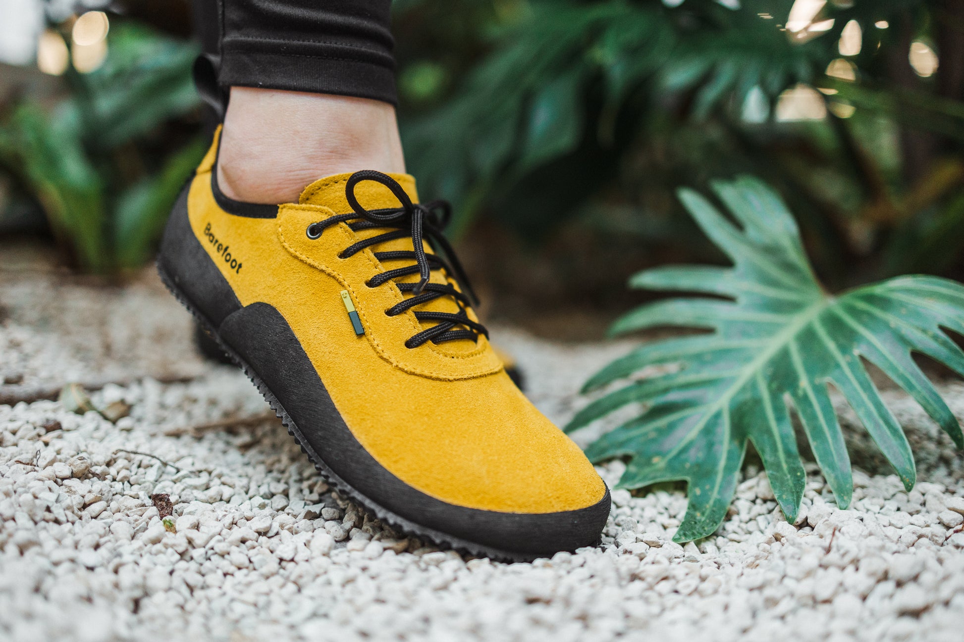 Barefoot Shoes Be Lenka Trailwalker 2.0 - Mustard 14 OzBarefoot Australia